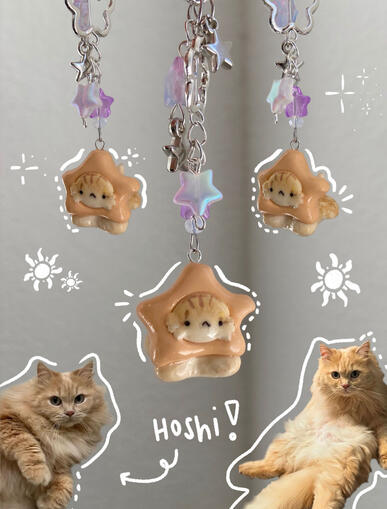 hoshi