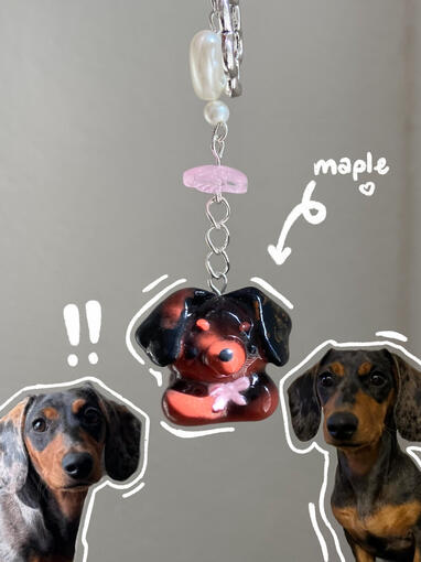 dachshund